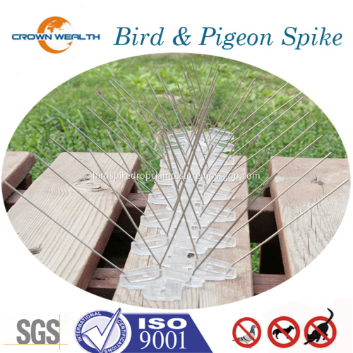 Extra Wide Stainless Steel Bird Spikes